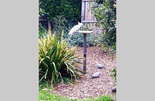 Apollo Bay House | 150 Steps FREE WI-FI