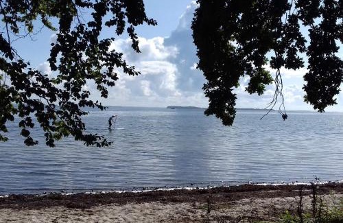 Fynshav House | 16 person holiday home in Haderslev-By Traum