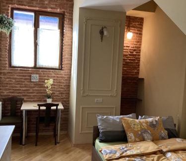 Chugureti Apartment | 2 Bedroom 2 Bathroom Historic Apartment Newly Renovated in Tbilisi Center