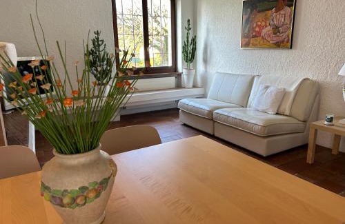 Morbio Inferiore Apartment | 2 bedroom apt near Como lake