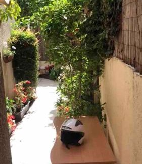 Old North Apartment | 2 Bedroom With Garden & Free Parking - By Vacay