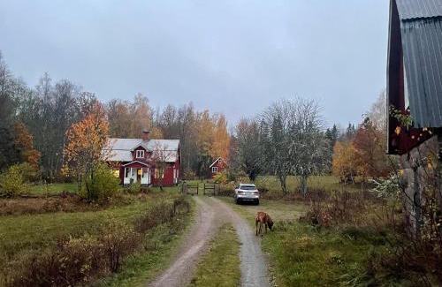 Hogsby Municipality House | 3 bedroom Forest Cabin Retreat in Högsby Småland