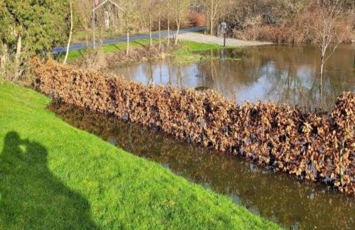 Ærø Municipality House | 3 person holiday home in Ærøskøbing