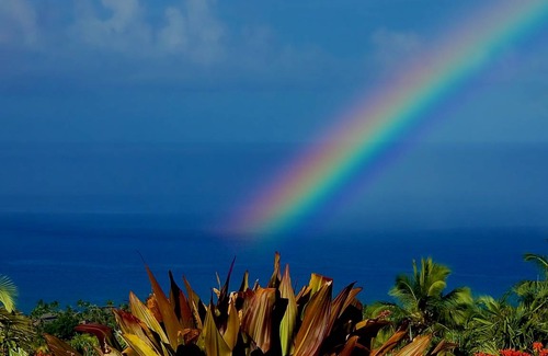 Kahaluu-Keauhou House | 377 m² House ∙ 4 bedrooms ∙ 8 guests