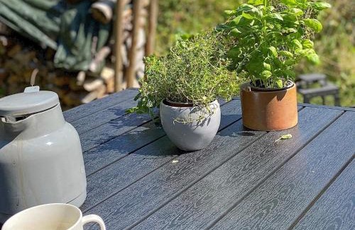 Læsø House | 4 person holiday home in Læsø-By Traum