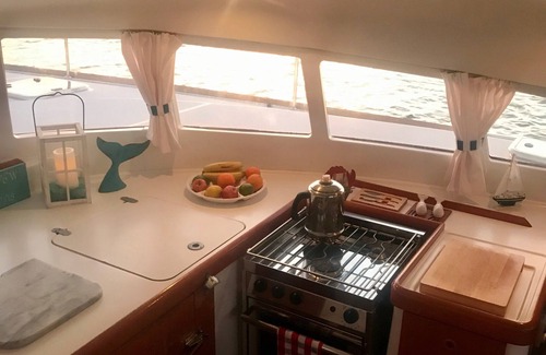 Lance aux Epines Boat Rental | 40' catamaran