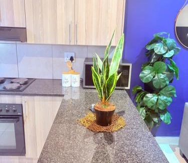 Emalahleni Apartment | 43 Home self Catering with backup power