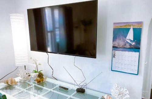 St. Louis Apartment | (49.1E) Garden style studio @ Forest Park & City!