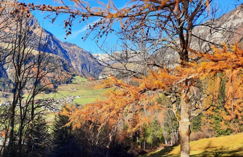 Matrei in Osttirol Apartment | 52 m² Apartment ∙ 1 bedroom ∙ 4 guests