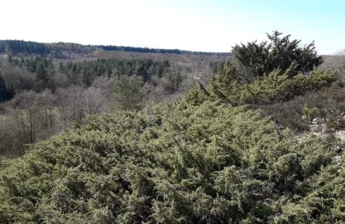 Silkeborg Municipality House | 6 person holiday home in Silkeborg-By Traum