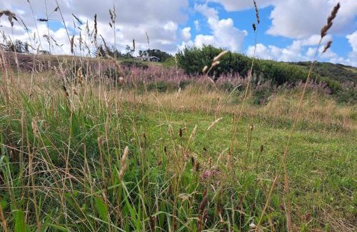 Lemvig House | 6 person holiday home in Lemvig-By Traum