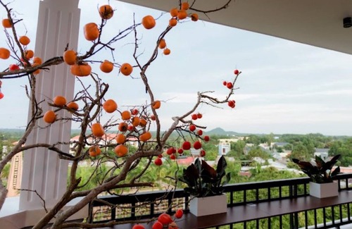 Xuyen Moc Hotel | 70 m² Hotel ∙ 9 guests
