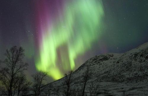 Flakstad Apartment | 8 person holiday home in Mølnarodden