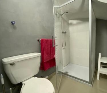 Bellavista Apartment | 83 Departamento ,barrio bellavista 2