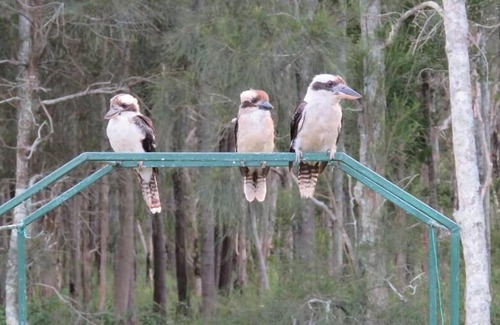 Harrington House | A beautiful coastal getaway close to everything!