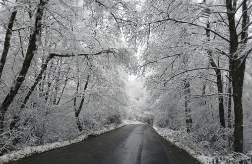 Rusca Montana Villa | A-Frame Bella