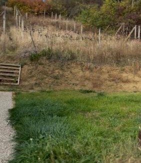 Nana Apartment | A frame Miška