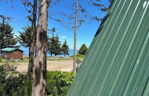 Port Angeles Apartment | A-frame Shelter (T16) Oceanview Olympic Peninsula