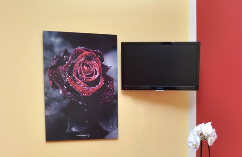 Borgofranco d'Ivrea Bed & Breakfast | A house under a big tree, the guardian of our family.