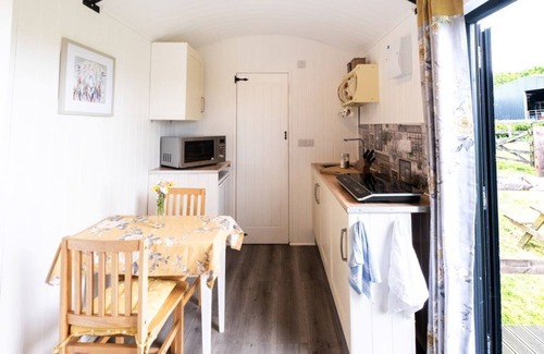 St Wenn Cabin | A hut with a view
