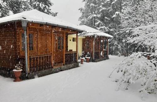 Tsqaltubo Cottage | A unique place in Kutaisi.