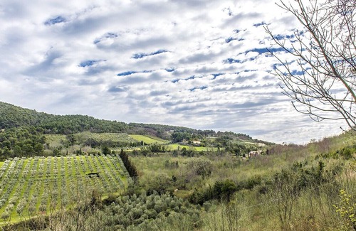 Villa Musone Apartment | A19 - Massignano, bright outbuilding surrounded by greenery