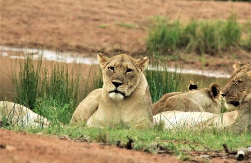 Hammanskraal Cabin | Abendruhe Lodge
