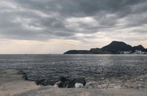 Sutomore Apartment | Acacia apartmani Sutomore