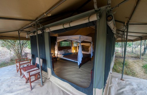 Sinoni Other | Acacia Migration Camp Ndutu