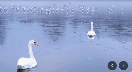 Lebenstedt Apartment | Accomondation Unterkunft Dreizimmerwohnung