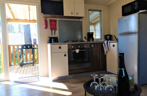 Saint-Julien-en-Born House | Adorable 4* air-conditioned mobile home in a peaceful setting between forest and ocean wifi/early arrival