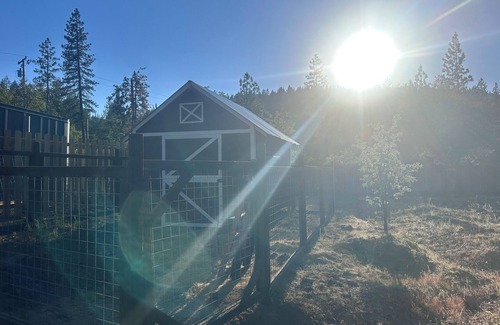 Middletown Cabin | Adventure Awaits: Newly Renovated Cabin Just Minutes Away from Outdoor Fun