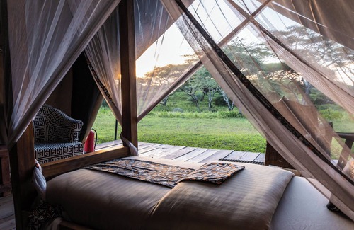 Sinoni Other | Africa Safari South Serengeti