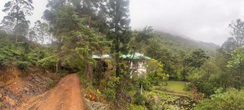 Lindula Hotel | Agarapathana Estate Holiday Bungalow