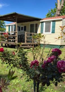 Marta Other | Agricampeggio Kornos