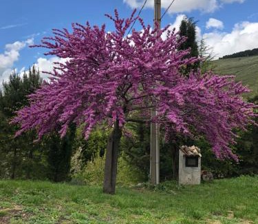 Santo Stefano Quisquina House | Agriturismo Serra Moneta