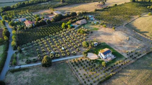 Sutri House | Agriturismo Casale Lisalola