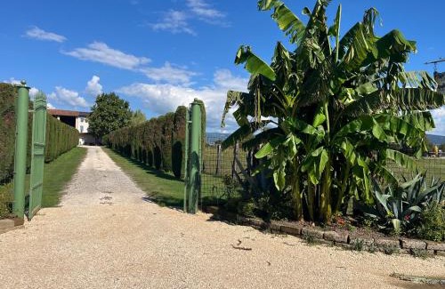 Pescantina Apartment | Agriturismo Corte Bonetti - Appartamento Il Salice