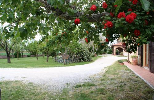 Venturina House | Agriturismo Diciocco
