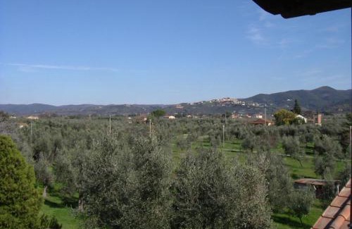 Donoratico House | Agriturismo Greppo All'olivo