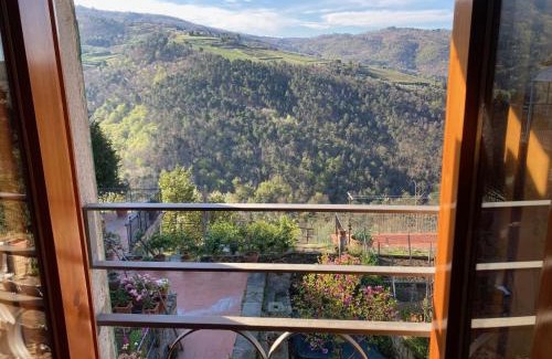 Greve in Chianti Apartment | Agriturismo La casina di Castellinuzza e Piuca