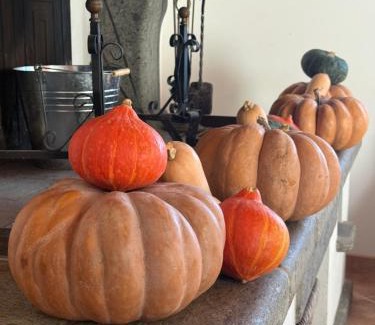 Marta House | Agriturismo La Vita è Bella