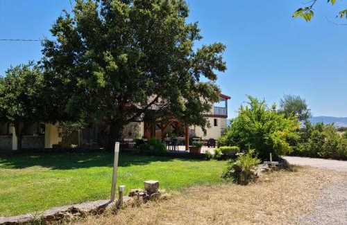 Tula House | Agriturismo Sa Pigalva