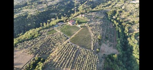 Reggello House | Agriturismo San Jacopo
