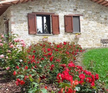Ponte d'Assi Apartment | Agriturismo VILLA MOZART nel verde