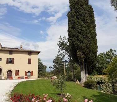 Ponte d'Assi Apartment | Agriturismo VILLA MOZART nel verde