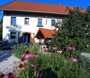 Sedziszowa Apartment | Agroturystyka "Polna 17"