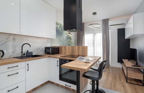Rzeszow Apartment | Air-Conditioned Apartment in Rzeszów with Parking by Noclegi Renters