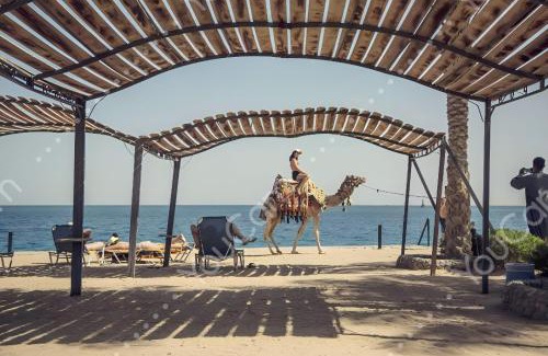 Dahar Hotel | Al Dora Residence Suites Hurghada