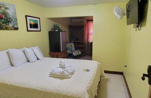Placencia Hotel | Alan's Paradise Hotel